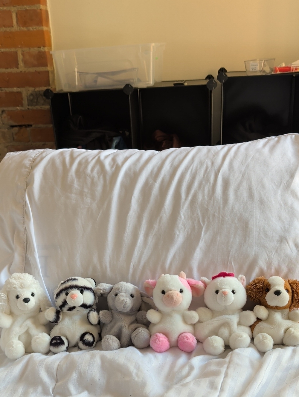 Bundle of six Palm Pals - Aurora plush stuffed animals
